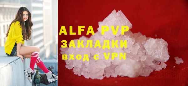 стаф Алексин
