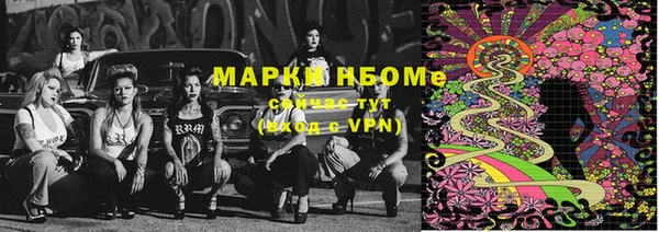 стаф Алексин