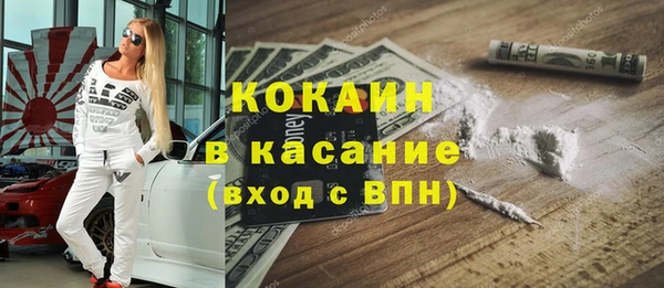 стаф Алексин