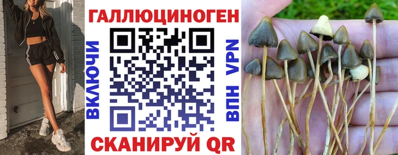 Галлюциногенные грибы GOLDEN TEACHER Грязовец