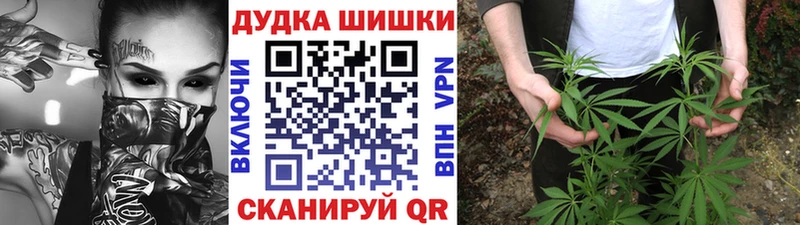 блэк спрут tor  Грязовец  Шишки марихуана SATIVA & INDICA 